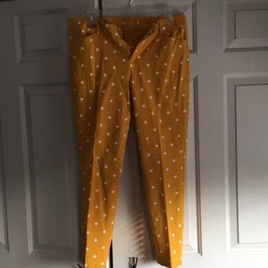 Butterscotch with white polka dots color capris.